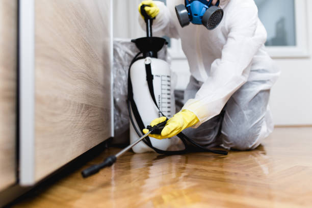Best Affordable Pest Control Services  in Burgin, KY