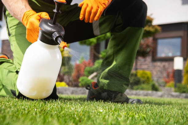 Best Pest Control Near Me  in Burgin, KY