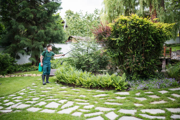 Professional Pest Control in Burgin, KY