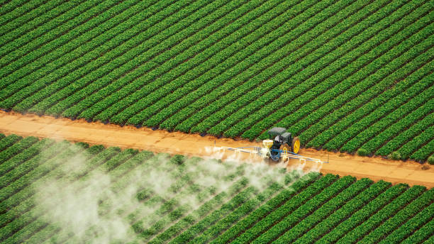 Best Mosquito Control Services  in Burgin, KY