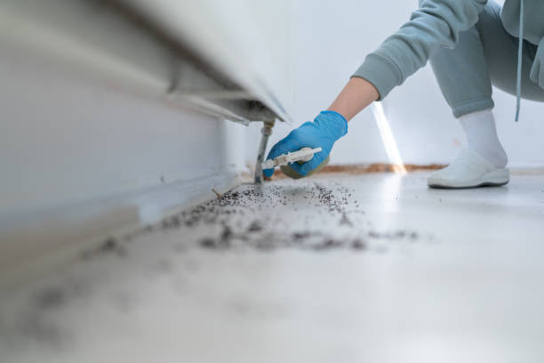 Best Residential Pest Control  in Burgin, KY