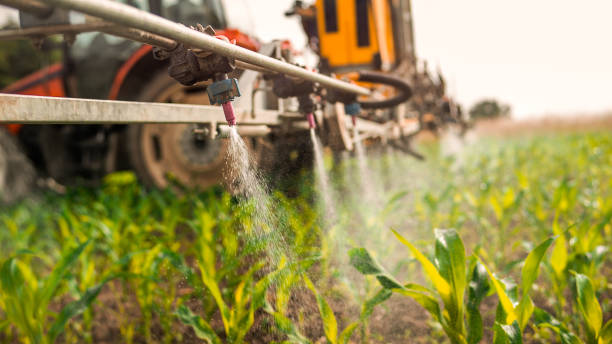 Best Ant Control Services  in Burgin, KY